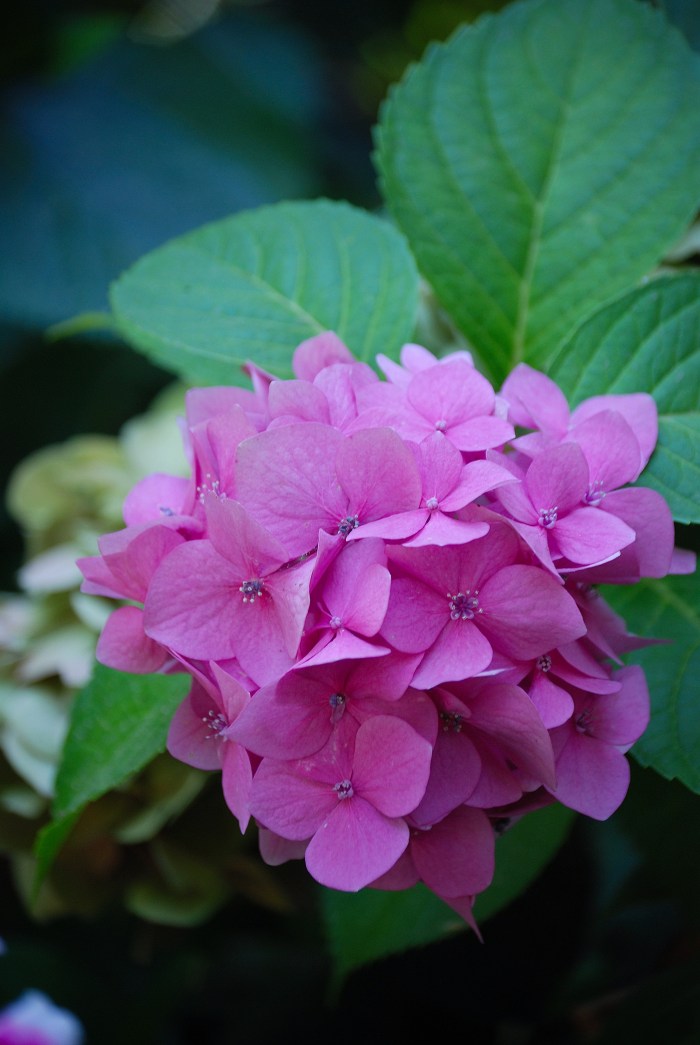 Countdown to Spring Day 14