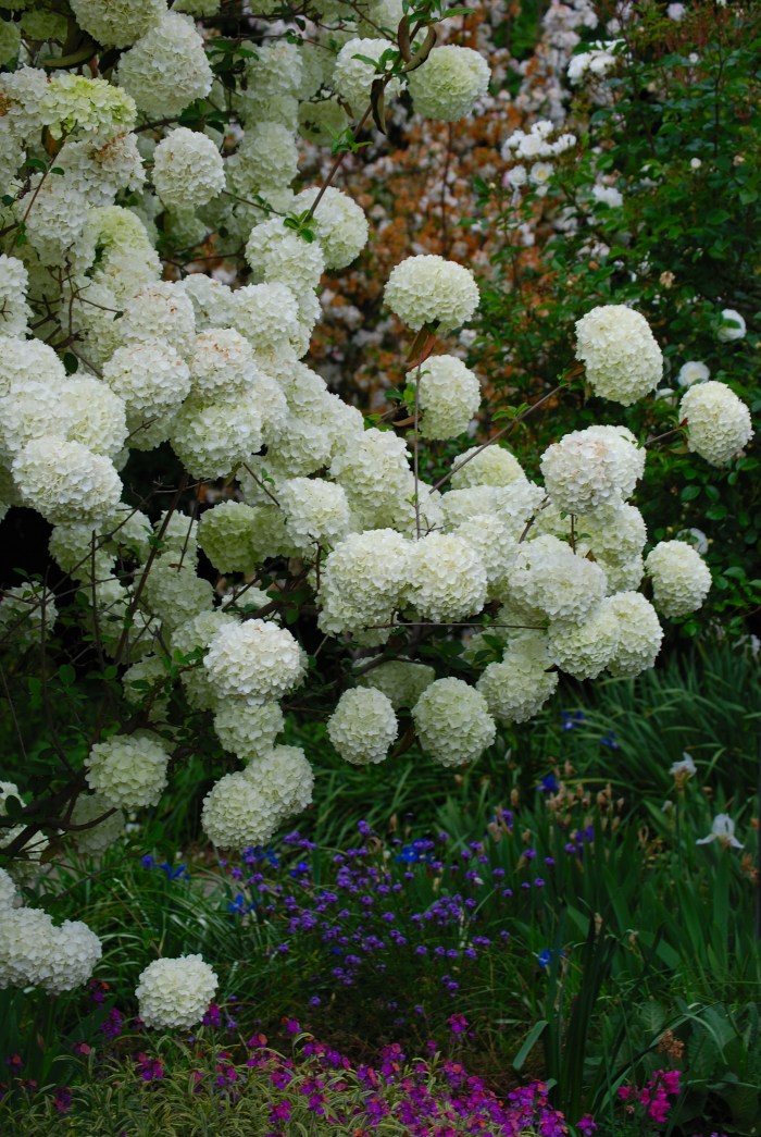 Countdown to Spring 9