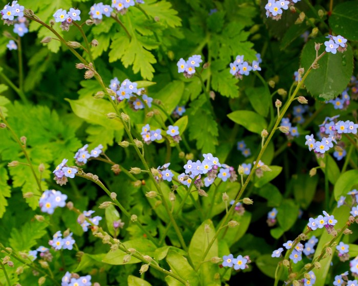 Countdown  to Spring 10