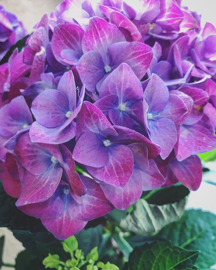 E296D98F-C572-4B82-A69F-2BB9A32EBB4E